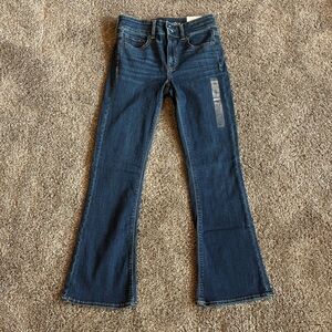American Eagle Outfitters Hi-Rise Artist Flare Leg Jeans